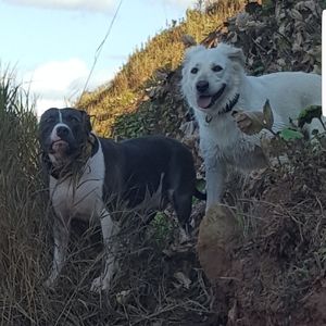 Meet your Posher, Stacey